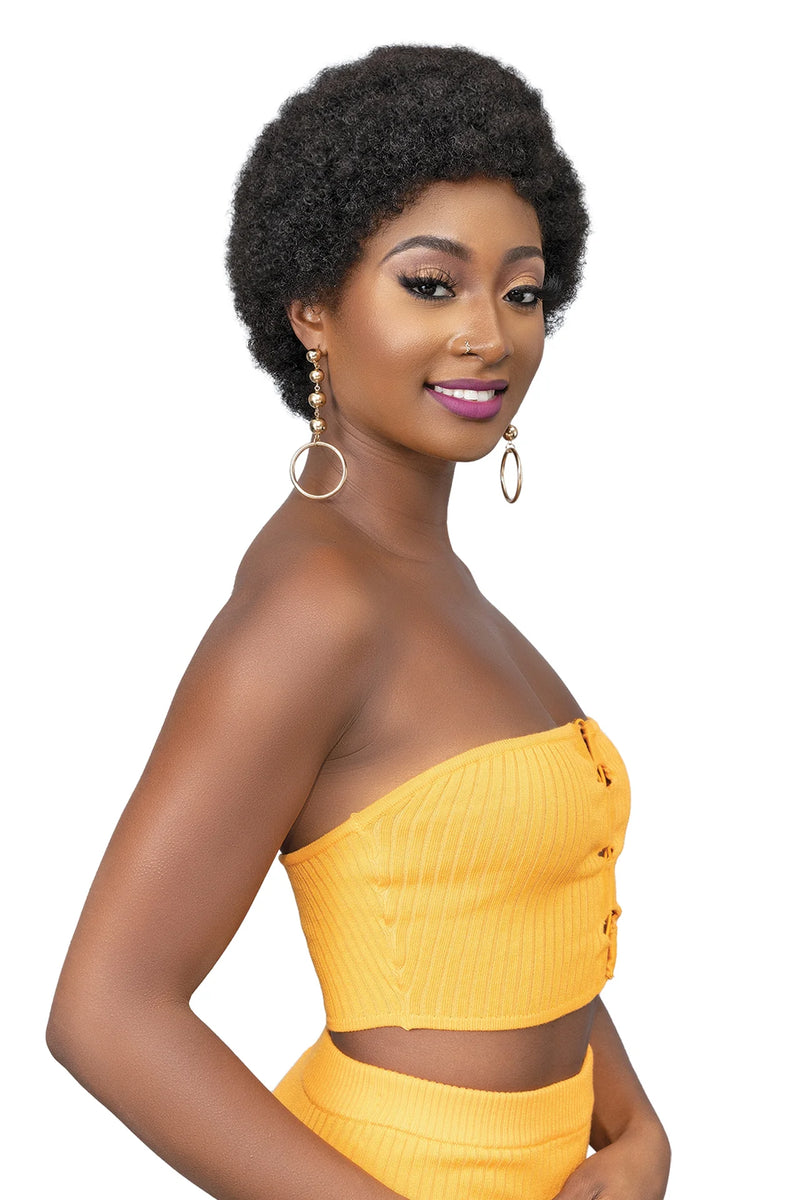 FEMI Ms Auntie Collection Synthetic Wig AFRO OBA | Hair Crown Beauty Supply