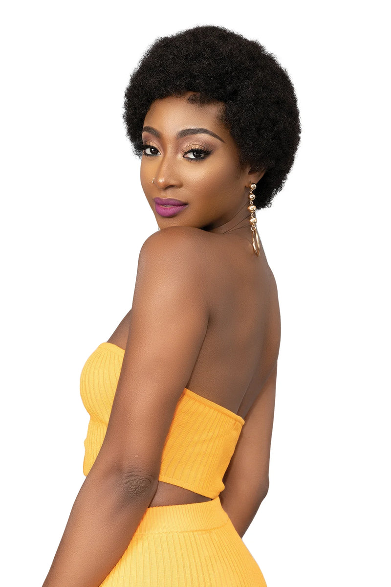 FEMI Ms Auntie Collection Synthetic Wig AFRO OBA | Hair Crown Beauty Supply