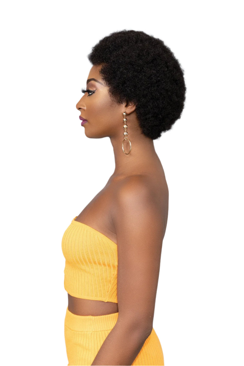 FEMI Ms Auntie Collection Synthetic Wig AFRO OBA | Hair Crown Beauty Supply