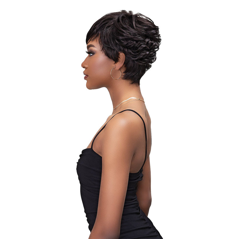 FEMI Ms Auntie Collection Synthetic Wig AKAI | Hair Crown Beauty Supply